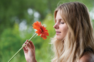 smell-female-flower