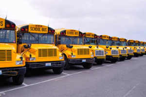 Multiple-School-Buses